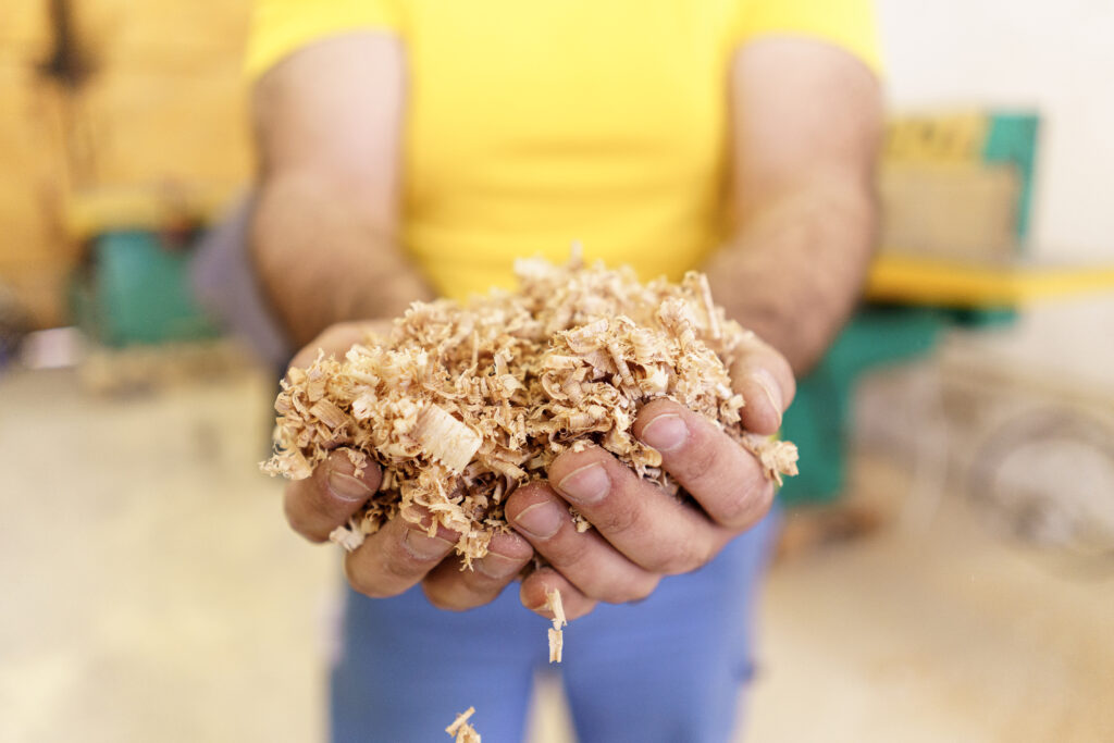 Potential Use of Biomass Briquettes in Indonesia